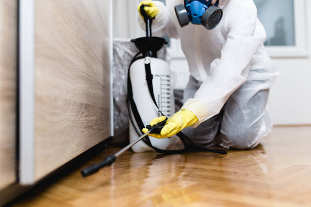 Best Best Pest Control Near Me  in Anthony, NM