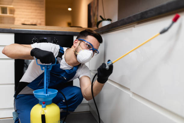 Best Wildlife Control Services  in Anthony, NM