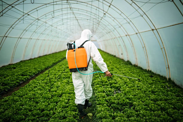 Best Best Pest Control Companies  in Anthony, NM