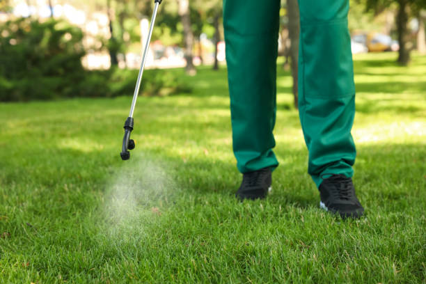 Best Insect Control  in Anthony, NM