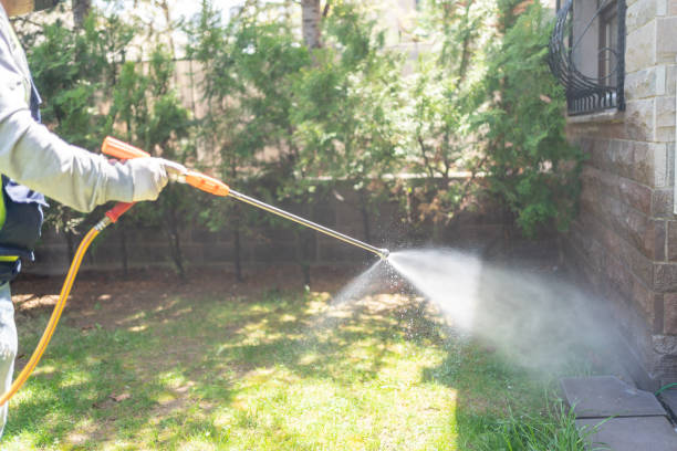 Pest Prevention Services in Anthony, NM
