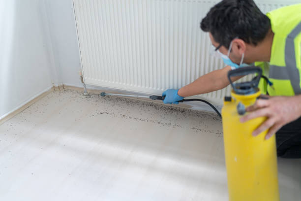 Reliable Anthony, NM Pest Control Solutions